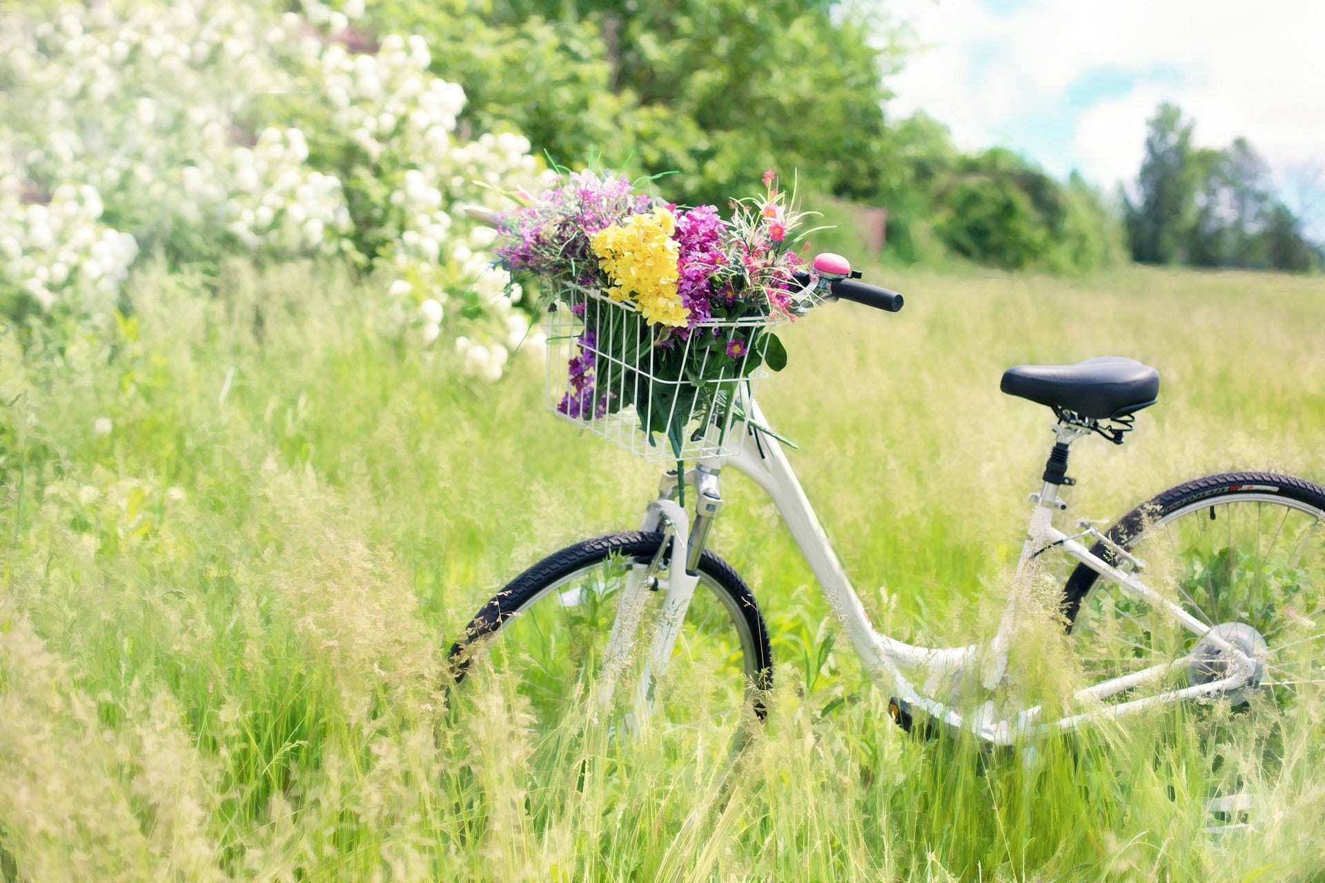 Ein Fahrrad welches auf einer grünen Wiese steht. Im Korb sind Blumen 
