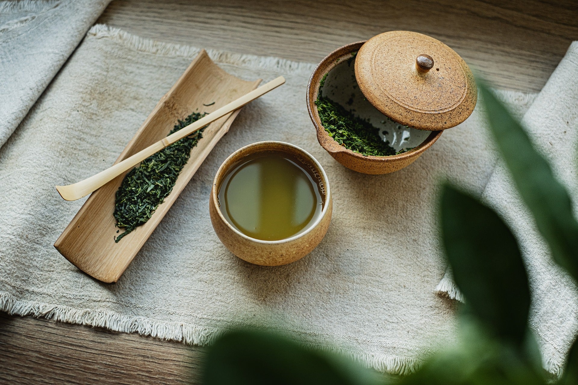 Grüner Tee sowohl als Pflanze sowie aufgegoßen mit Wasser